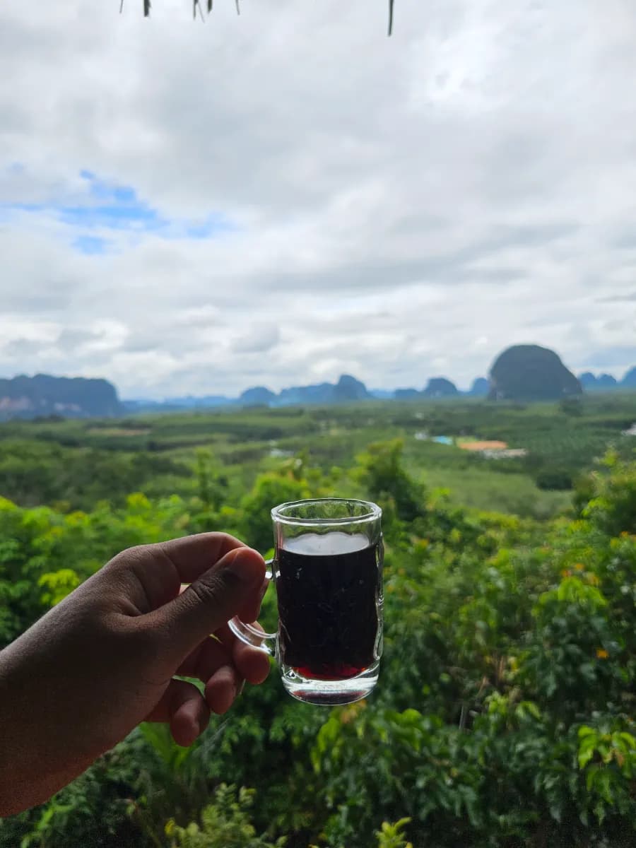 รีวิว Din Daeng Doi Cafe (ดินแดงดอย คาเฟ่) จุดชมวิวพระอาทิตย์ ขึ้น ทะเลหมอกกระบี่